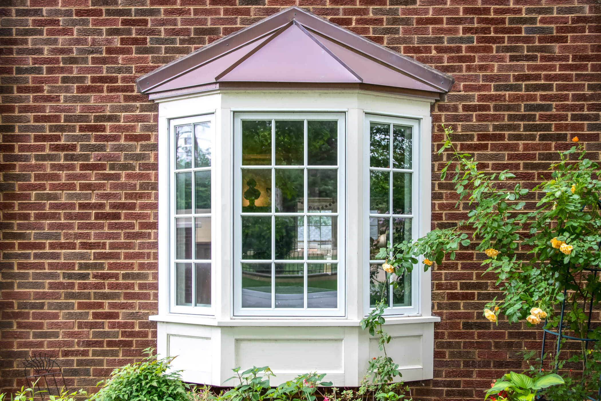 our-windows-cs-windows