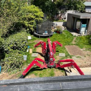 Spider Crane In Garden