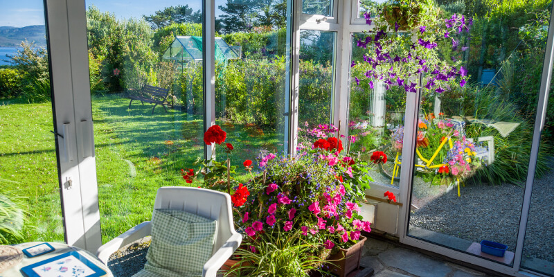 Conservatory with flowers
